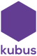 Administratiekantoor Kubus Lelystad Logo